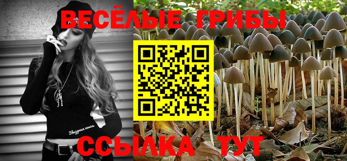 Асбест  Галлюциногенные грибы GOLDEN TEACHER  Псилоцибиновые грибы Cubensis  Вход с VPN 