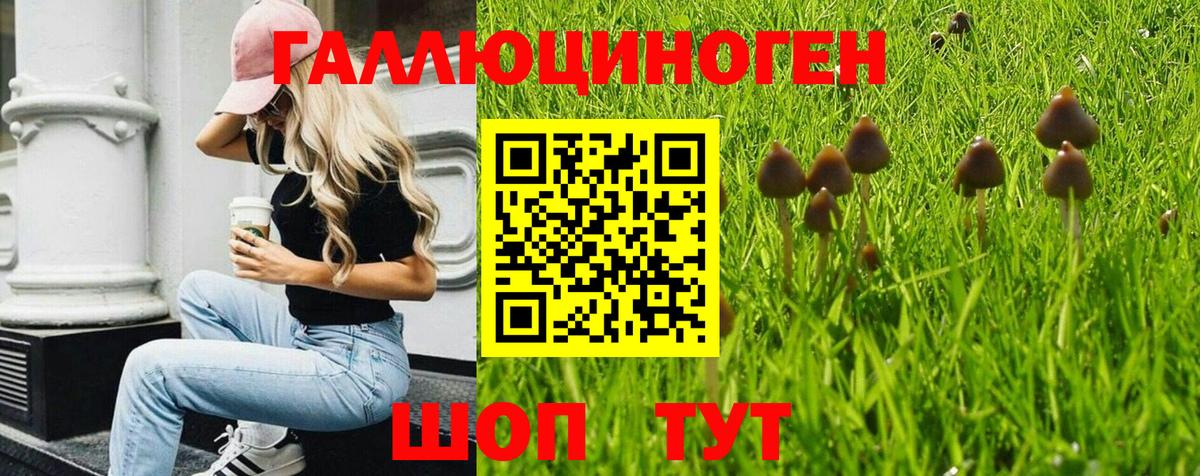 Галлюциногенные грибы мухоморы Асбест
